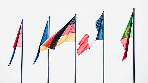 Flaggen von Mitgliedstaaten der Europäischen Union
