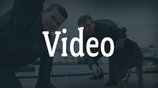Video/Audio Video/Audio