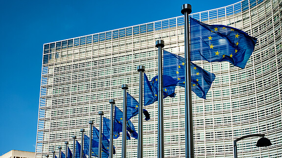 Arbeitsbehörde mit Anlaufschwierigkeiten Europäische Kommission
