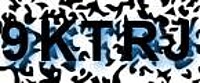 grafischer Sicherheitscode