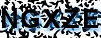 grafischer Sicherheitscode