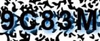 grafischer Sicherheitscode