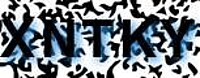 grafischer Sicherheitscode