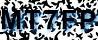 grafischer Sicherheitscode