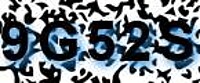 grafischer Sicherheitscode