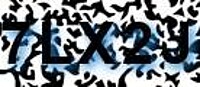 grafischer Sicherheitscode