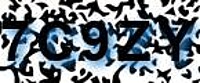 grafischer Sicherheitscode